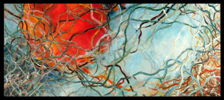 Netting the sun 768x342
